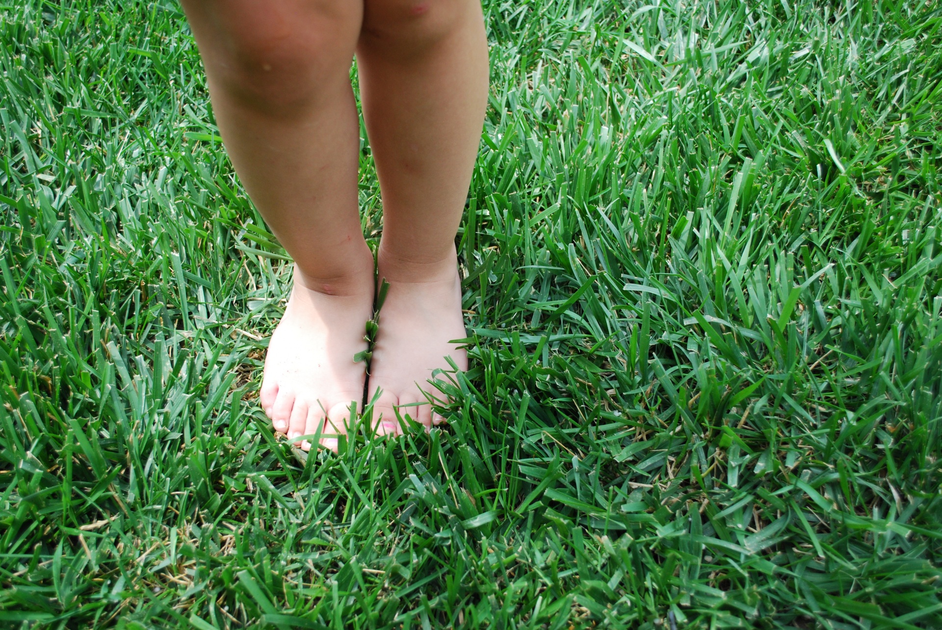 bare-feet-in-the-grass.jpg